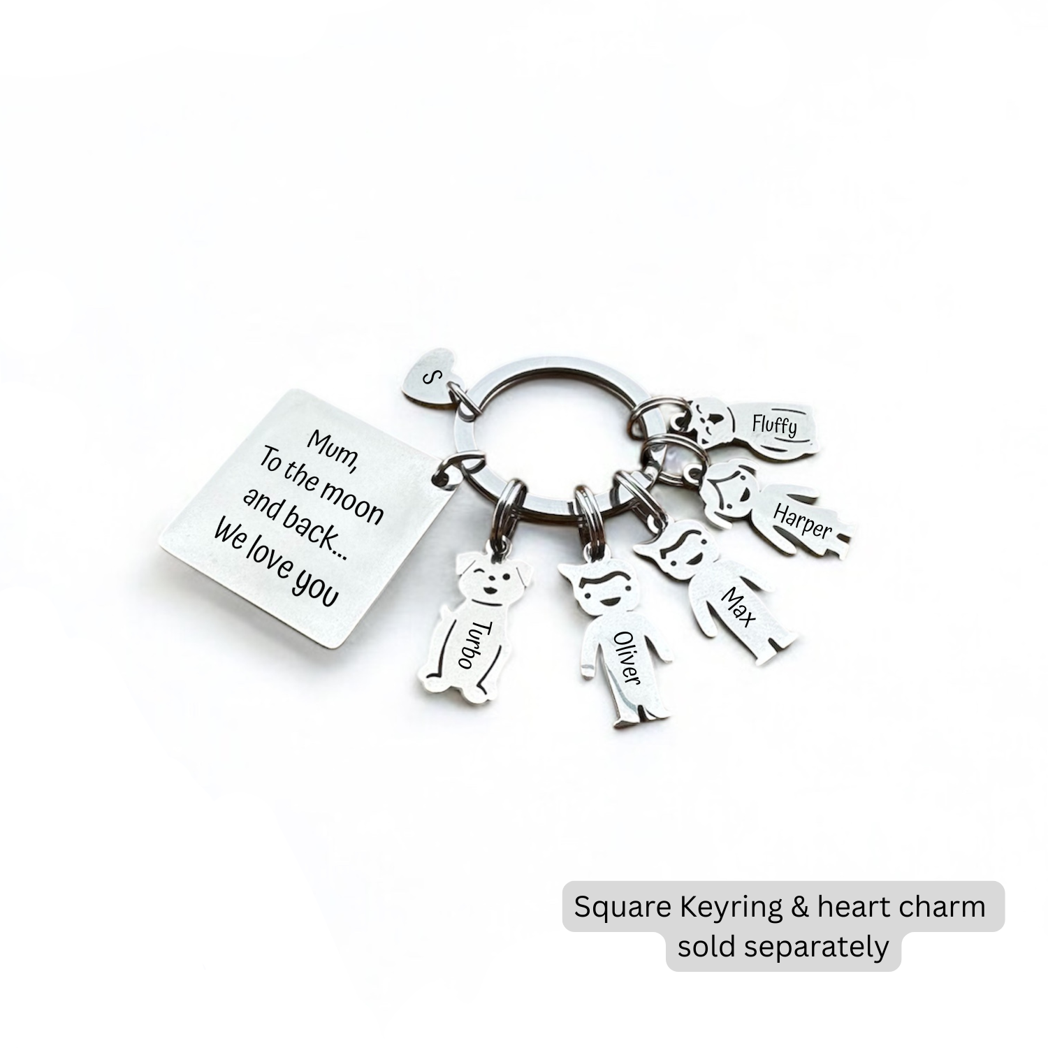 Pocket Loved Ones: Personalised Stainless Steel Keyring with Kids & Pets Charms