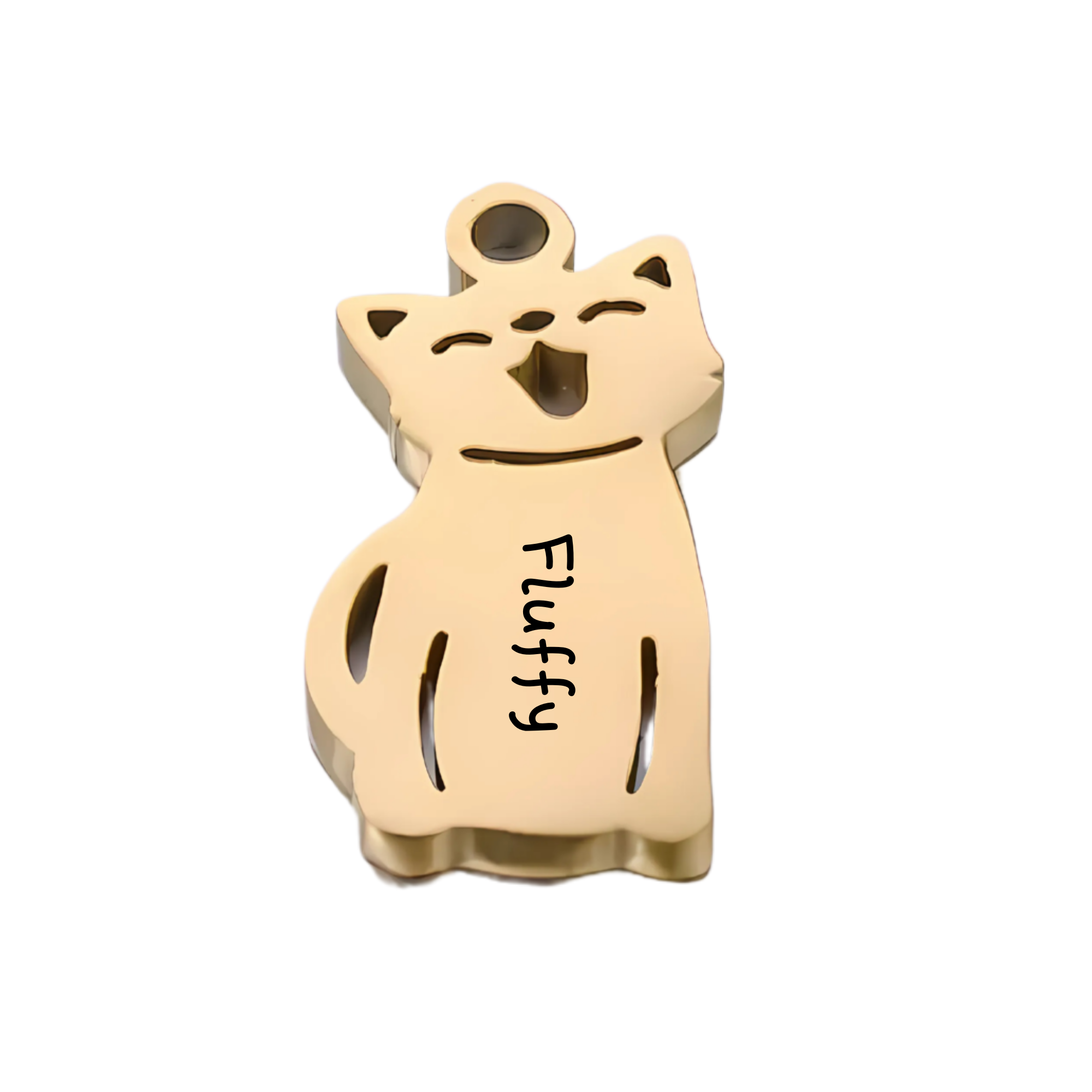 Pocket Loved Ones: Personalised Stainless Steel Keyring with Kids & Pets Charms