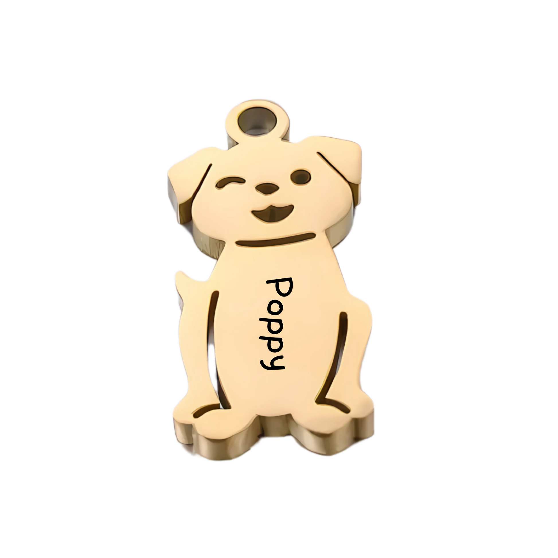 Pocket Loved Ones: Personalised Stainless Steel Keyring with Kids & Pets Charms