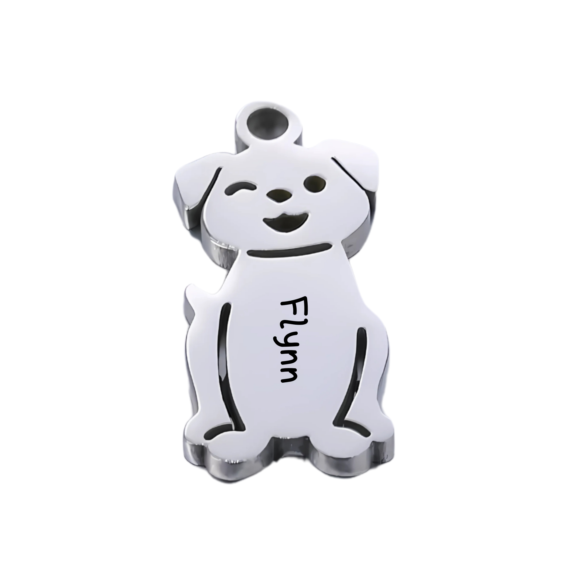 Pocket Loved Ones: Personalised Stainless Steel Keyring with Kids & Pets Charms
